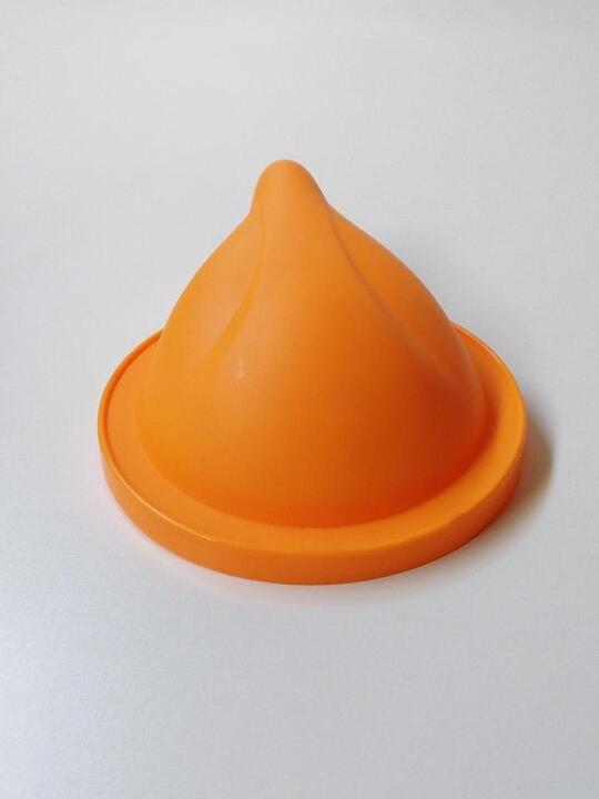 Top Cover For The Back-Vac