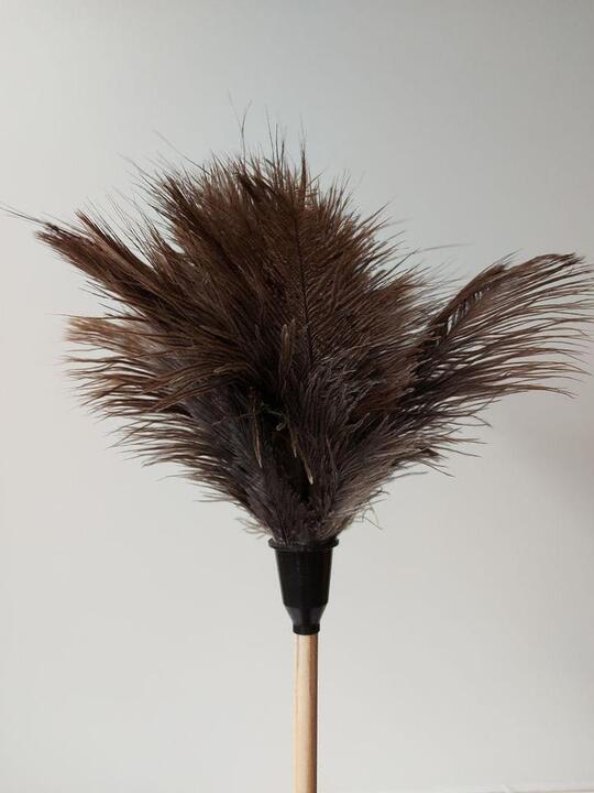 Short Feather Duster 450mm (Ostrich feathers)