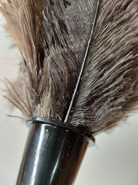 Short Feather Duster 450mm (Ostrich feathers)