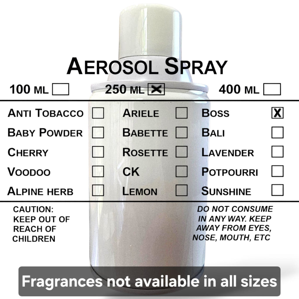 Nu Air Aerosol Spray 250ml - Boss