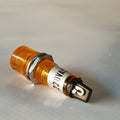 Pilot light for the carpet cleaning machine
