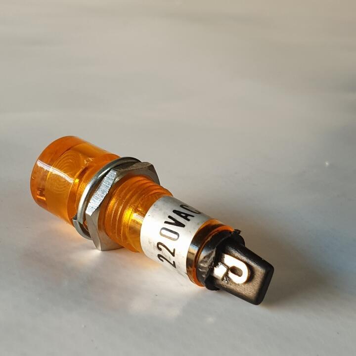 Pilot light for the carpet cleaning machine