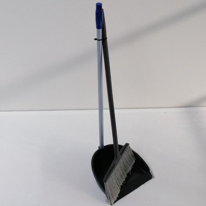 Grey Scoop & Brush with a long handle