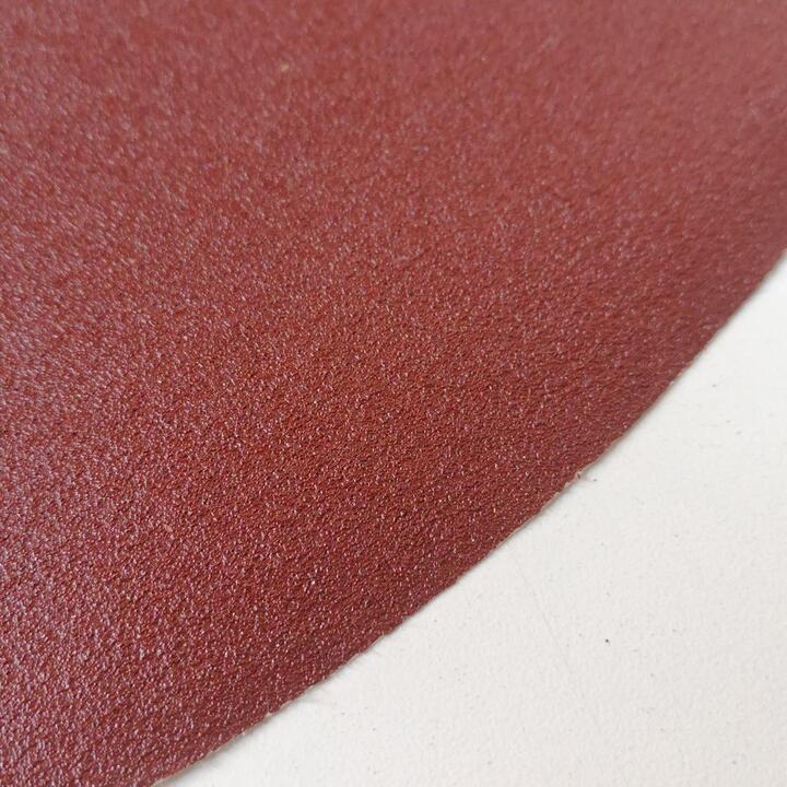 Sanding Disc with 100 Grid layer