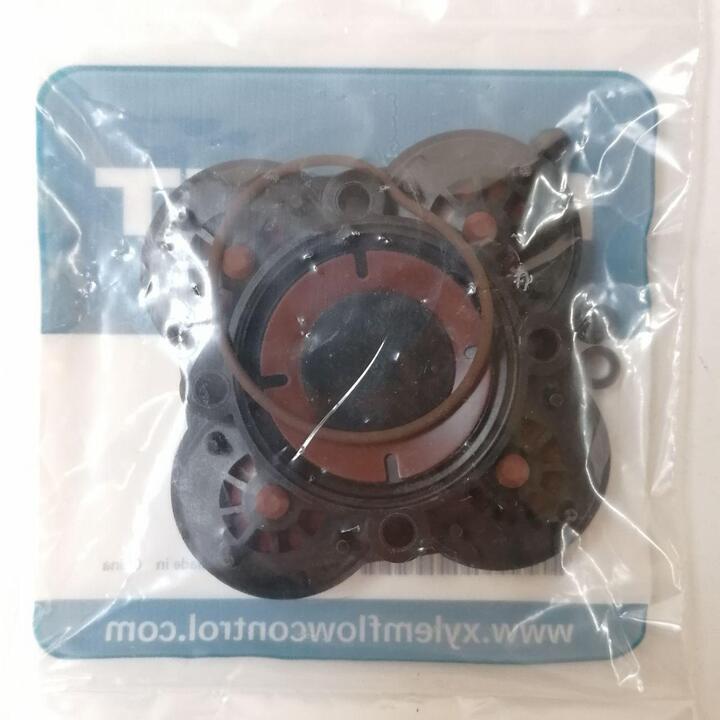 Viton Check Valve Kit for Quad Pump Flojet